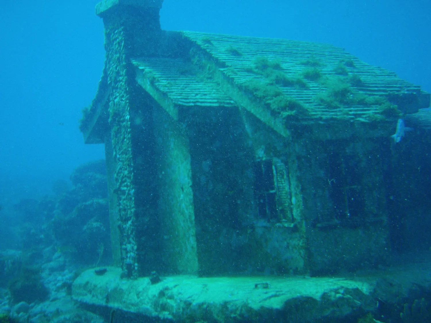Urban Reef statue installation underwater at MUSA, snorkeling site in Cancun, Mexico