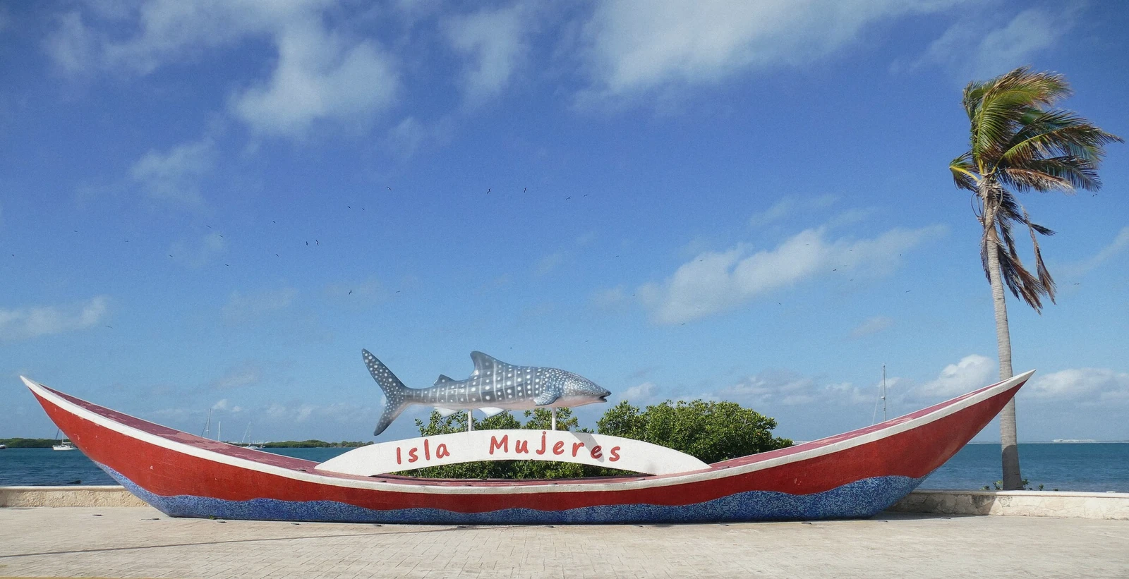 Single whale shark swimming in blue water off Isla Mujeres, Mexico