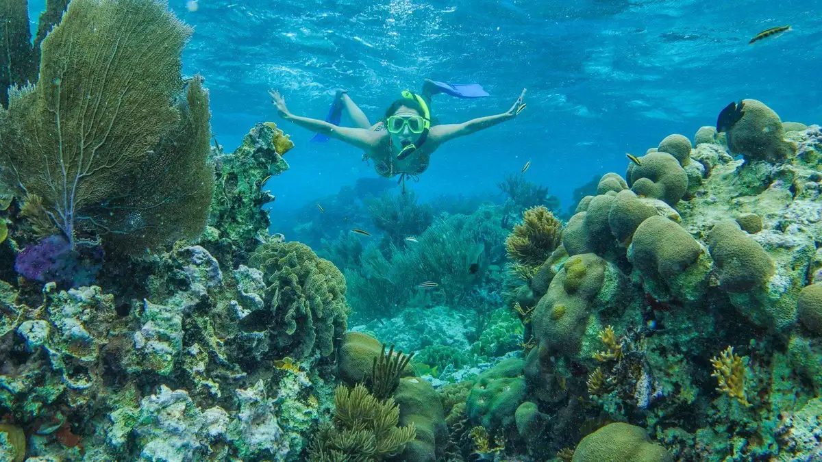 Submerged statues of the MUSA Underwater Museum with fish and snorkelers above, Cancun, Mexico